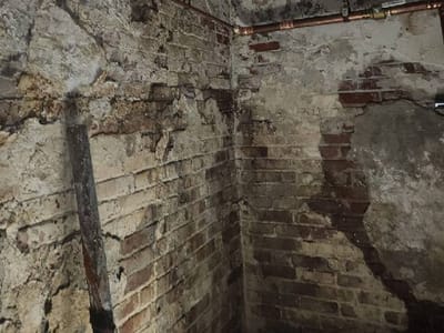 Steadfast Home Service