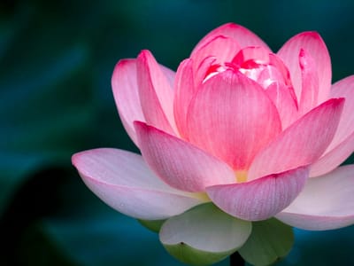 Sterling Heights Furnace and Air Conditioning