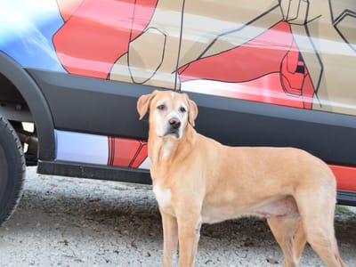 Strittmatter Plumbing, Heating and AC