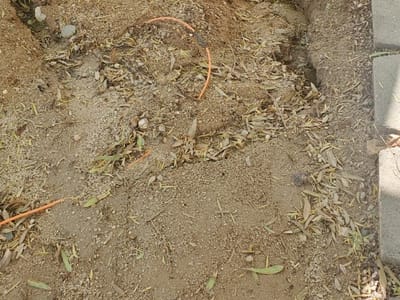 Strongbuilt Plumbing, Air, Solar & Electric