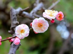 Summit Heating & Air Conditioning