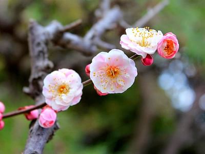 Summit Heating & Air Conditioning