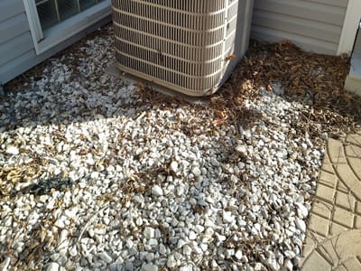 Sunbeam Service Experts