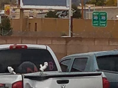 Sunshine Plumbing & Heating