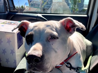 Supermen Heating & AC & IAQ