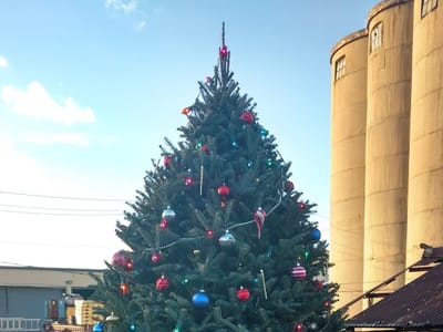 T F Quinlan & Son Inc