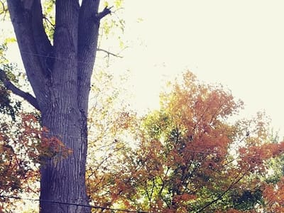 Tacoma Heating & Cooling