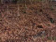 Tait Heating and Cooling LLC