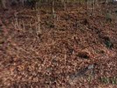 Tait Heating and Cooling LLC