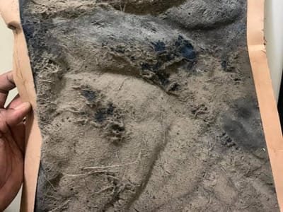 technicalexpertsllc.com