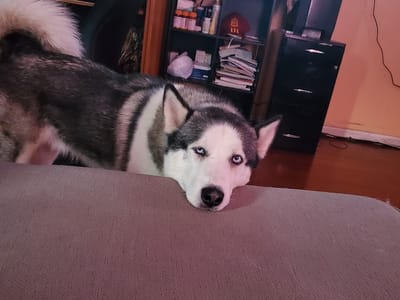 Tedora Air Conditioning And Heating