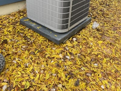 TemperaturePro Austin