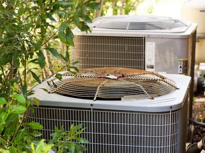 TemperaturePro Charleston