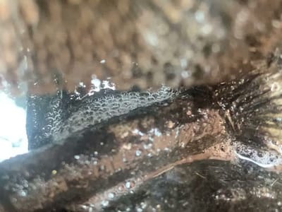 Texas Air Conditioning and Heating