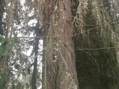 The Air Conditioning Company