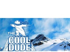 The Cool Dude AC & Heating