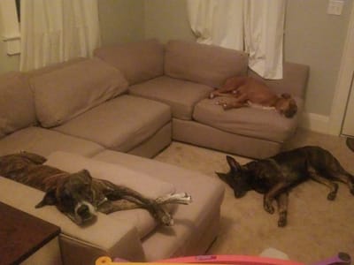 The Lakeland Air Conditioning Company