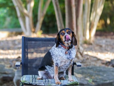 The Plumbing & Air Service Co.