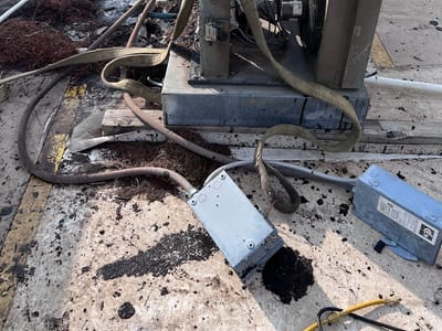 The Refrigerated Bear LLC