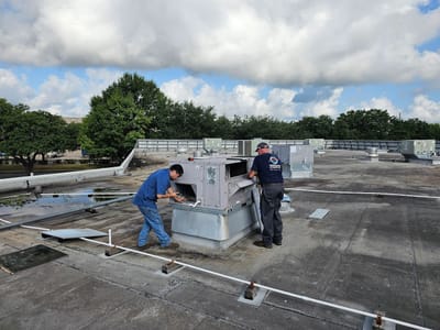 The Temperature Company