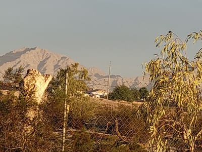 Thermo Heating of Yuma Inc