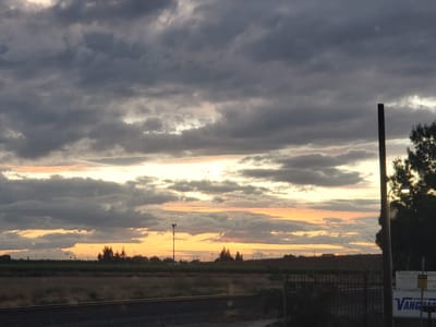 Thermo King Central California