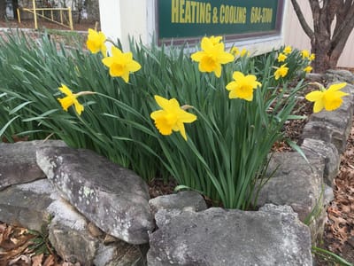 Thompson Mechanical Inc