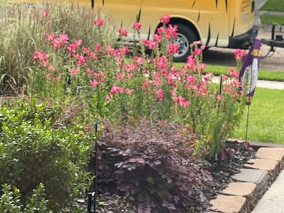 Tiger Air Conditioning Services