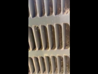 Tiger Paws Heating & Air Conditioning