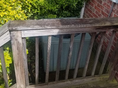 Tiger Paws Heating & Air Conditioning