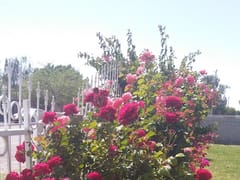 TIMER REFRIGERATION & AC LLC