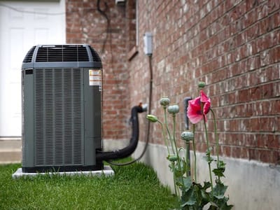 Tittel Enterprises Inc