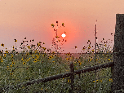 TJ Heating & Air LLC