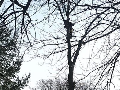 Tom Pankok & Sons LLC