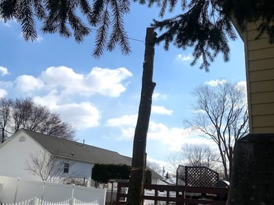 Tom Pankok & Sons LLC