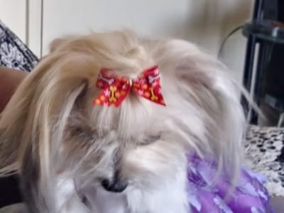 Tony's Heating & A/C Service