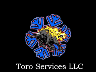 Toro Services LLC