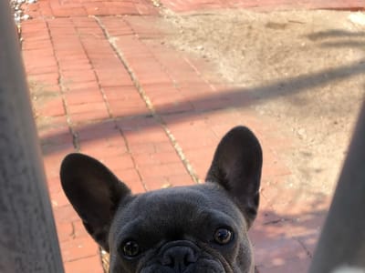 Total Air Heating & Air Conditioning