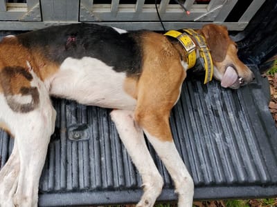 Total Care Heating And Cooling