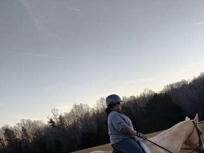 Total Comfort Services Heating