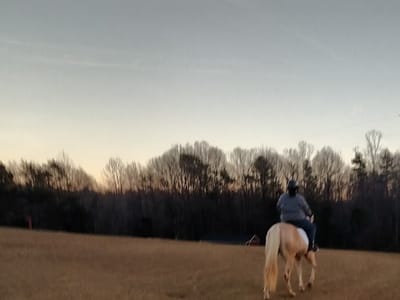 Total Comfort Services Heating