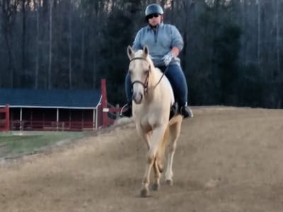 Total Comfort Services Heating