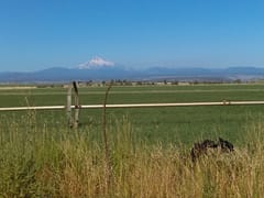 Towler Heating & Cooling