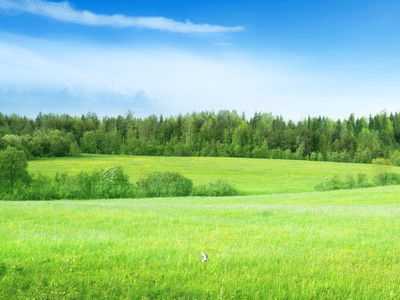 Tracey Energy Services LLC