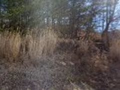 Trane Commercial Sales Office