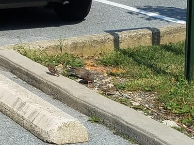 Trane HVAC Parts & Supplies