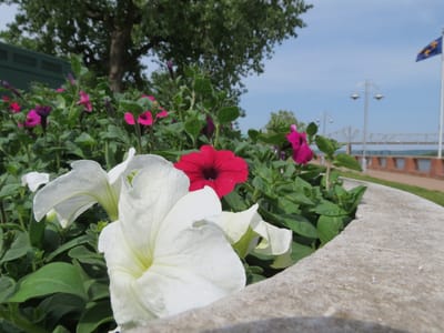 Tri County Heating and Cooling