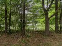 Tri Tech Services Co Inc