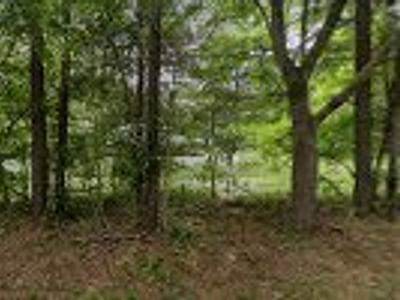 Tri Tech Services Co Inc