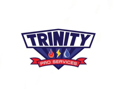 TRINITY PRO SERVICES